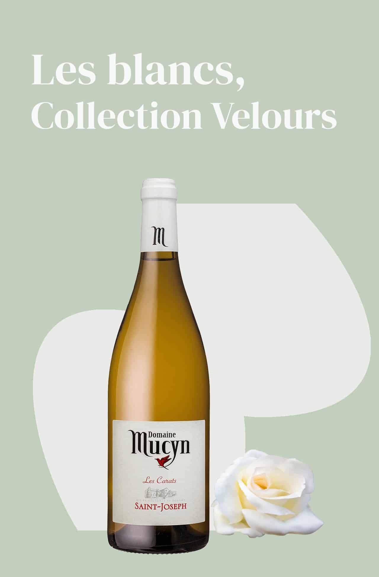 Domaine Mucyn, vin blanc Saint Joseph, cuvée premium