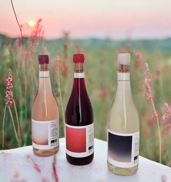 capsule art et vin