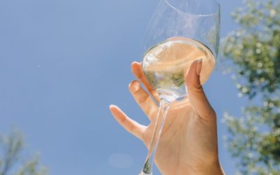 Le guide comparatif des sucres et calories pour savoir quel vin sans alcool choisir.