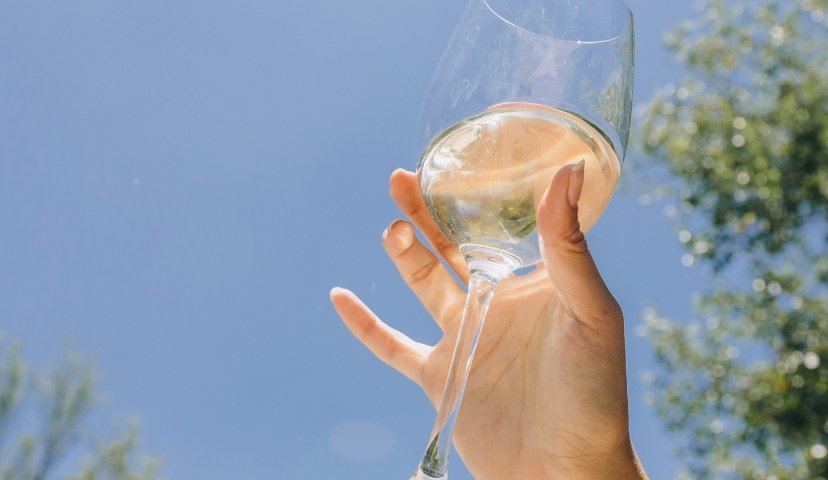 verre de vin sans alcool rosé tenue par une main
