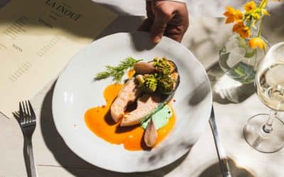 Guide des accords mets et vins : les incontournables à connaître