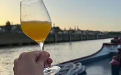 6 recettes de cocktail sans alcool à base de vin