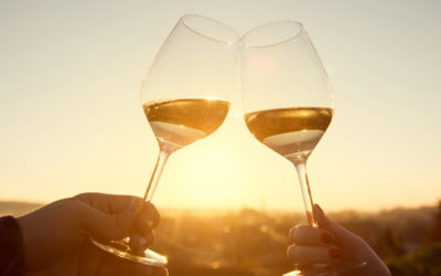 Guide des périodes idéales pour savourer chaque type de vin