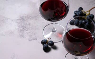 Cuisine d’hiver: quels vins rouges privilégier quand il fait encore froid?