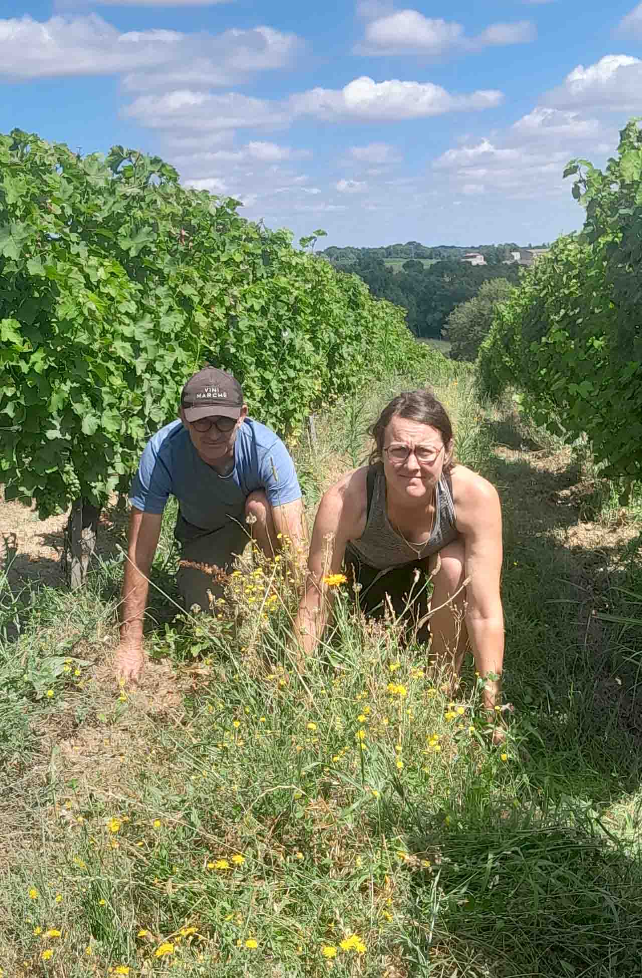 Château Lacoste à Capian